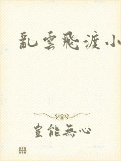 乱云飞渡小说