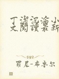 丁洁沉沦小说全文阅读最新章节更新封面