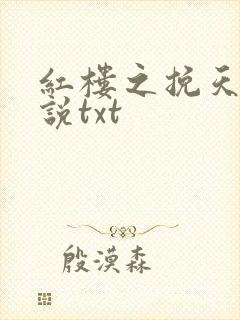 红楼之挽天倾小说txt封面