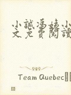 小诚冯姨小说全文免费阅读最新章节
