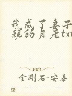我成了妻子和父亲的月老txt封面