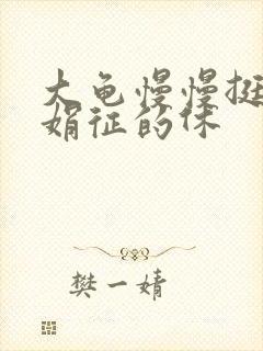 大龟慢慢挺进张娟征的休封面