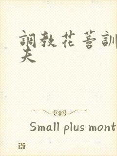调教花蒂训诫从夫