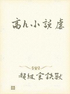 高h小说虐封面