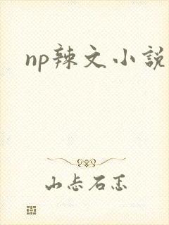 np辣文小说