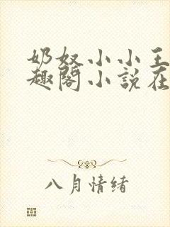 奶奴小小王爷笔趣阁小说在线阅读全封面