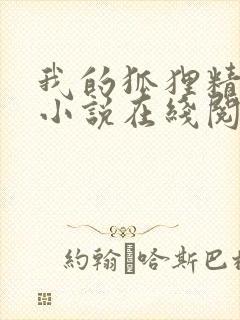 我的狐狸精后妈小说在线阅读