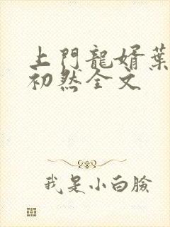 上门龙婿叶辰萧初然全文
