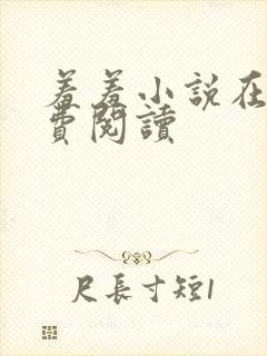 羞羞小说在线免费阅读
