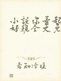 小说你看起来很好亲全文免费阅读封面