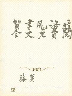 贺聿风洛晴小说全文免费阅读