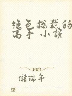 绝色总裁的超级高手 小说封面