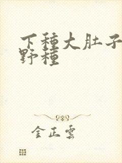 下种大肚子怀孕野种