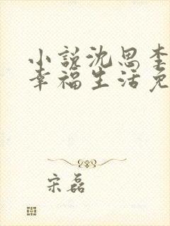 小说沈思李兵的幸福生活免费阅读