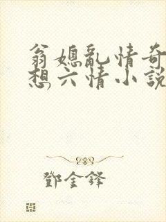 翁媳乱情奇思妙想六情小说封面