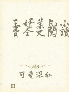 王婿叶凡小说免费全文阅读