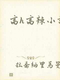 高h高辣小说