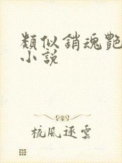 类似销魂艳婢的小说
