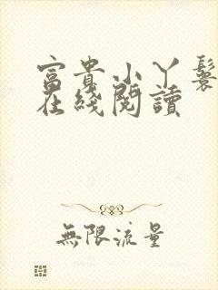 富贵小丫鬟小说在线阅读