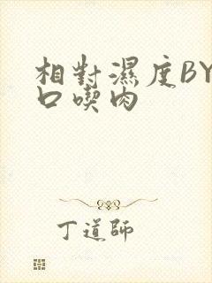 相对湿度BY大口吃肉