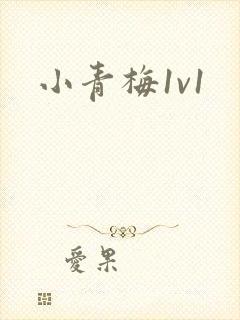 小青梅1v1