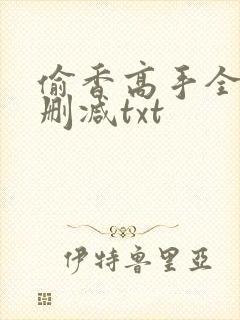 偷香高手全文无删减txt封面