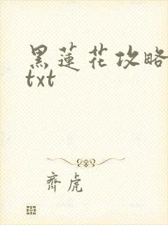 黑莲花攻略手册txt封面