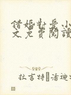 错婚对爱小说全文免费阅读