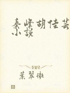 秦峰胡佳芸周茜小说封面