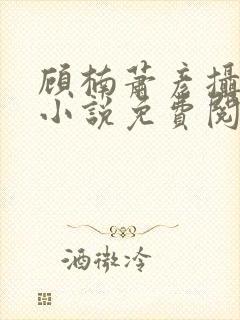 顾楠萧彦摄政王小说免费阅读