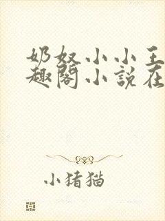 奶奴小小王爷笔趣阁小说在线阅读全