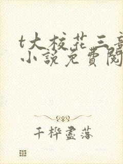 t大校花三部曲小说免费阅读全文