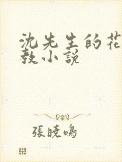 沈先生的花式调教小说