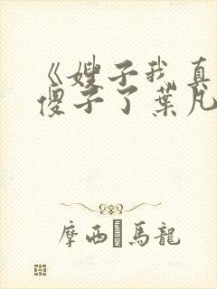 《嫂子我真不是傻子了叶凡》