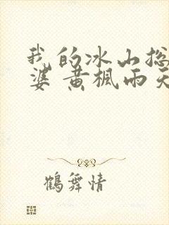 我的冰山总裁老婆 黄枫雨天