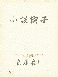 小说楔子封面