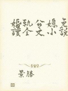 婚轨公媳免费阅读全文小说封面