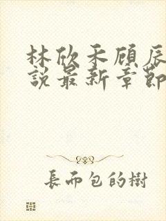 林欣禾顾辰昀小说最新章节免费阅读