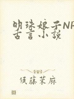 明珠娘子NPC古言小说