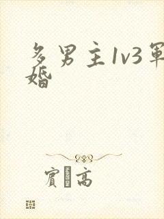 多男主1v3军婚封面