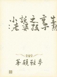 小说之重生79:老婆孩子热炕头