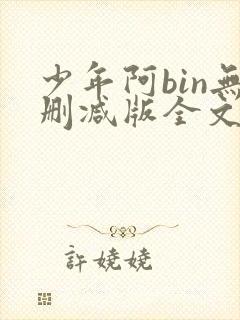 少年阿bin无删减版全文阅读