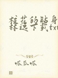 校花的贴身高手林逸下载txt封面