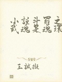 小说斗罗之我的武魂是魂环全文阅读