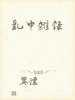乱中杂录