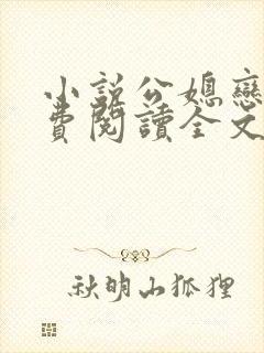 小说公媳恋曲免费阅读全文
