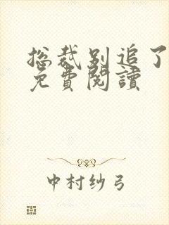 总裁别追了全文免费阅读