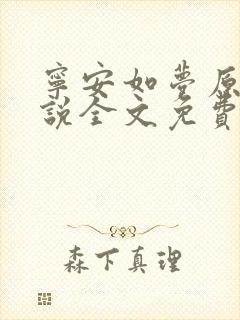 宁安如梦原著小说全文免费封面