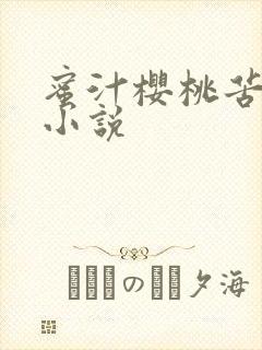 蜜汁樱桃苦咖啡小说