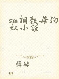 sm调教母狗女奴小说